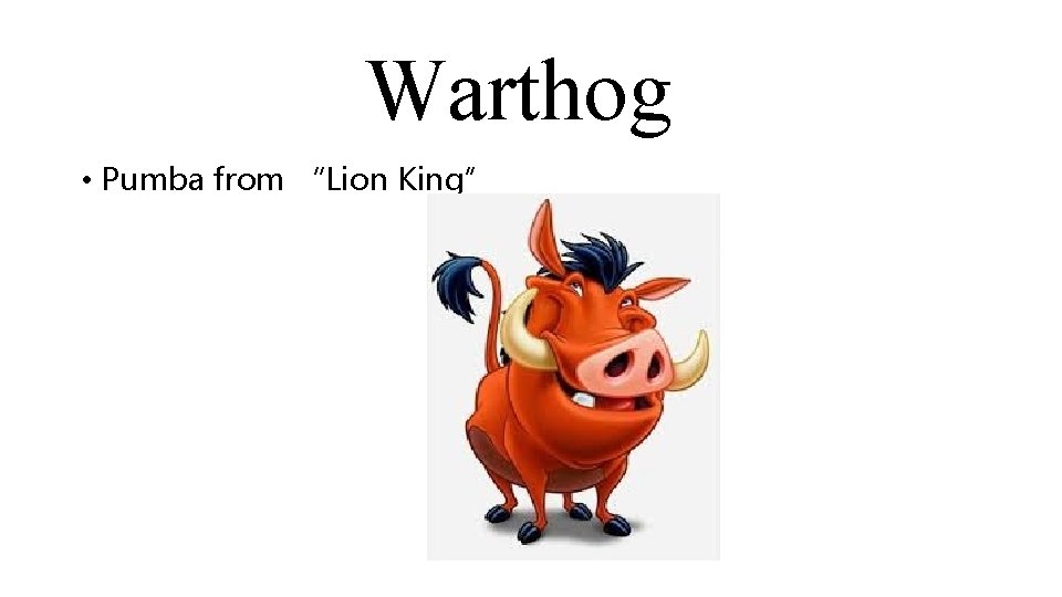 Warthog • Pumba from “Lion King” 