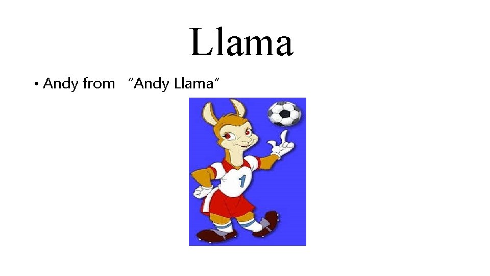 Llama • Andy from “Andy Llama” 