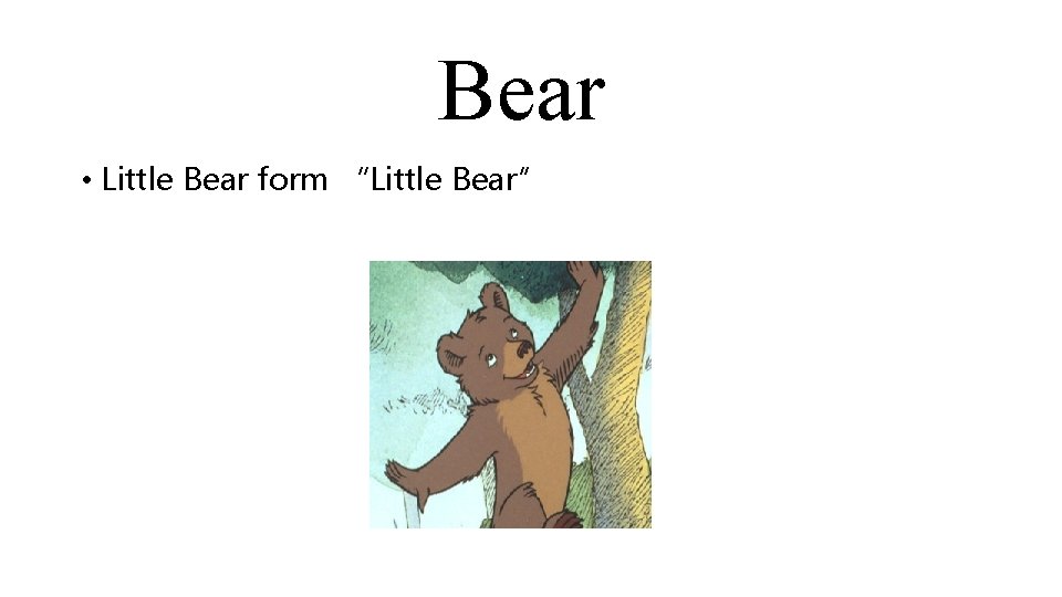 Bear • Little Bear form “Little Bear” 