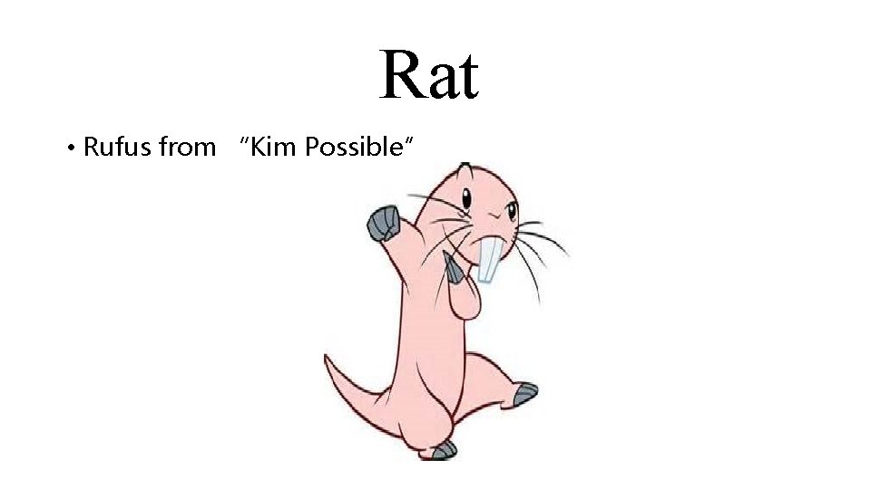 Rat • Rufus from “Kim Possible” 