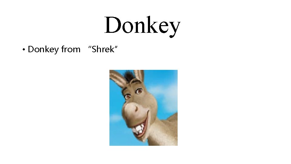 Donkey • Donkey from “Shrek” 