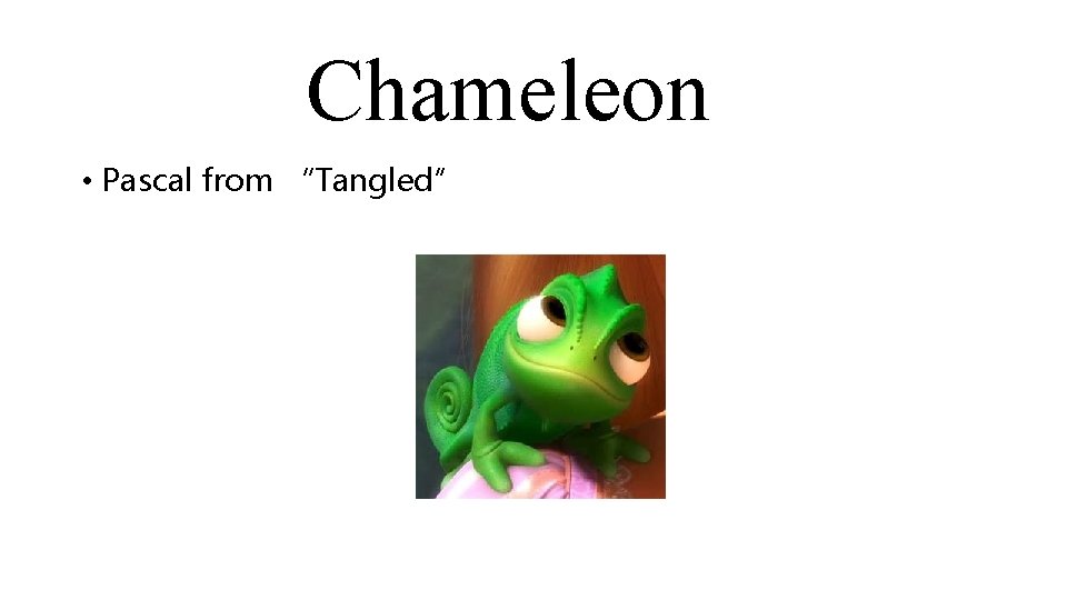 Chameleon • Pascal from “Tangled” 