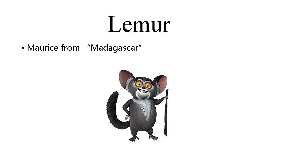 Lemur • Maurice from “Madagascar” 