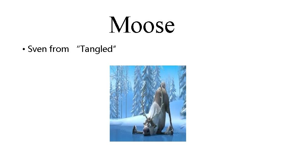 Moose • Sven from “Tangled” 