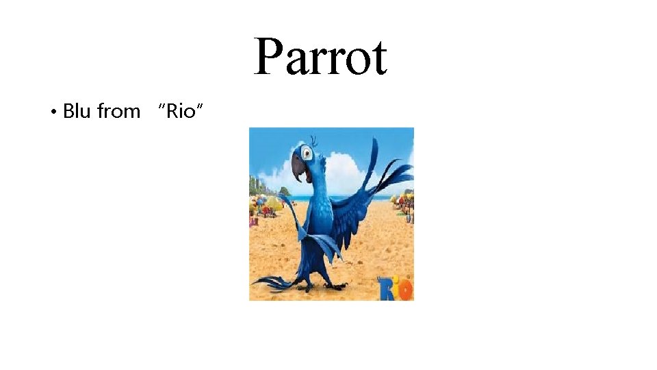 Parrot • Blu from “Rio” 