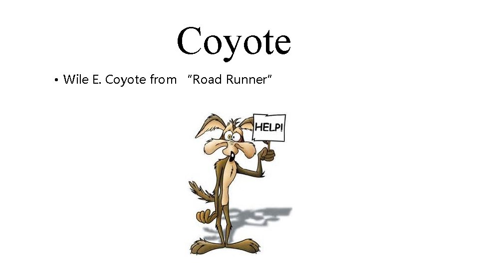 Coyote • Wile E. Coyote from “Road Runner” 