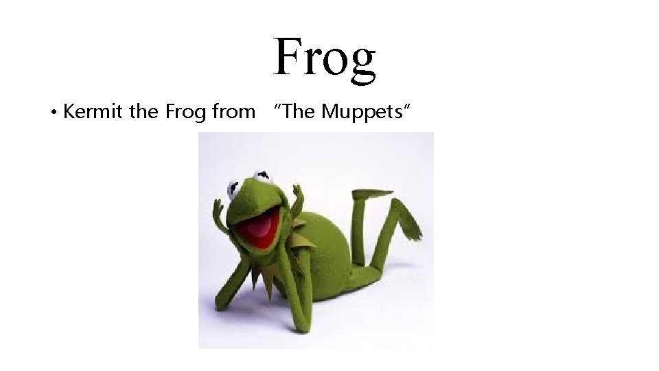 Frog • Kermit the Frog from “The Muppets” 