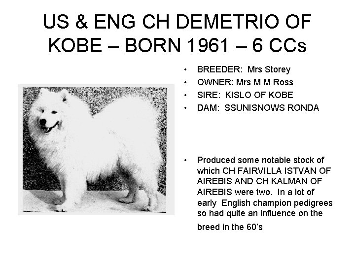 US & ENG CH DEMETRIO OF KOBE – BORN 1961 – 6 CCs •