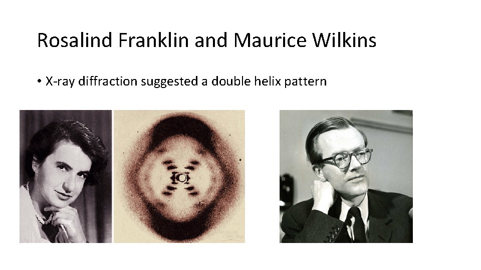 DNA Nucleic acids polymers responsible for the storage