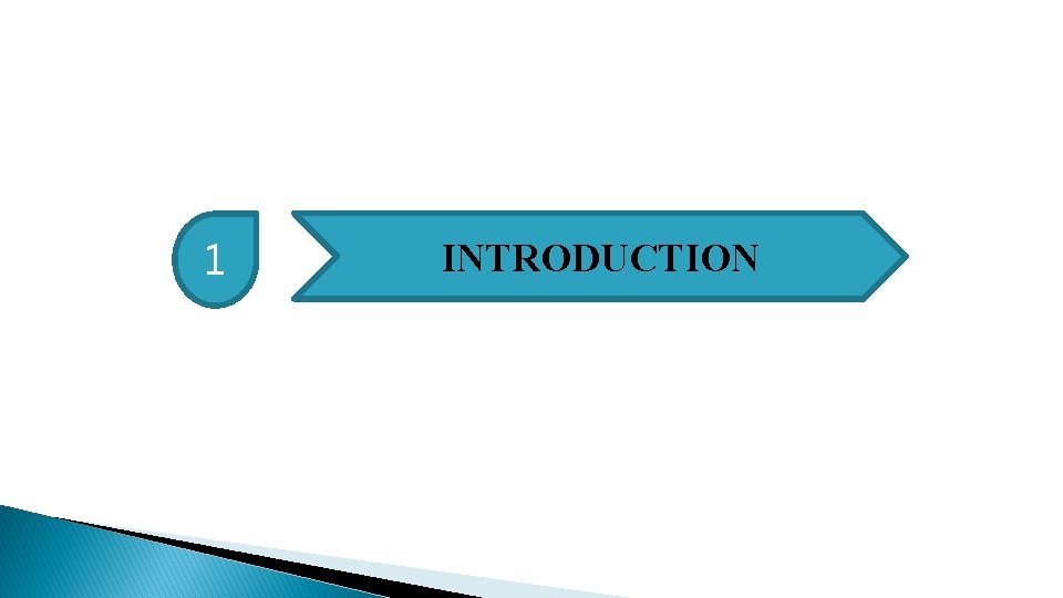 1 INTRODUCTION 1 INTRODUCTION