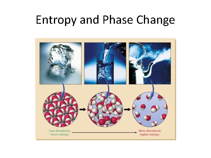 Entropy and Phase Change 