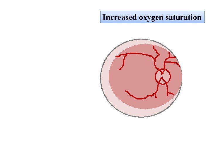 Increased oxygen saturation 