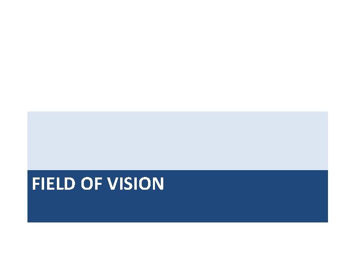 FIELD OF VISION 