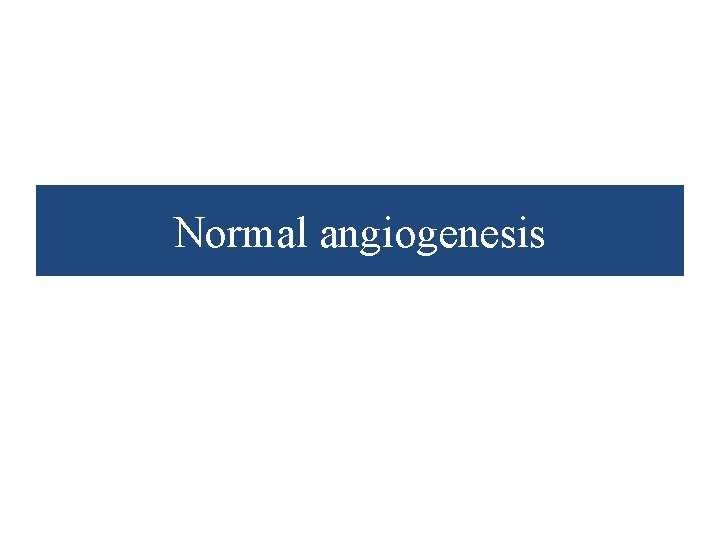 Normal angiogenesis 