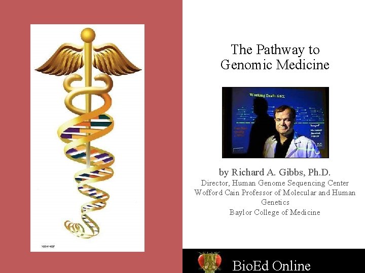 The Pathway to Genomic Medicine by Richard A. Gibbs, Ph. D. Director, Human Genome