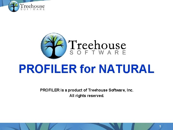 PROFILER for NATURAL PROFILER is a product of Treehouse Software, Inc. All rights reserved.