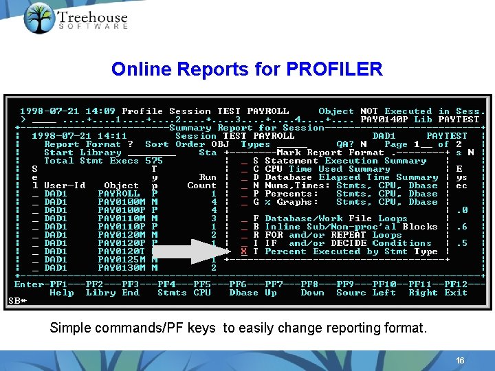 Online Reports for PROFILER Simple commands/PF keys to easily change reporting format. 16 