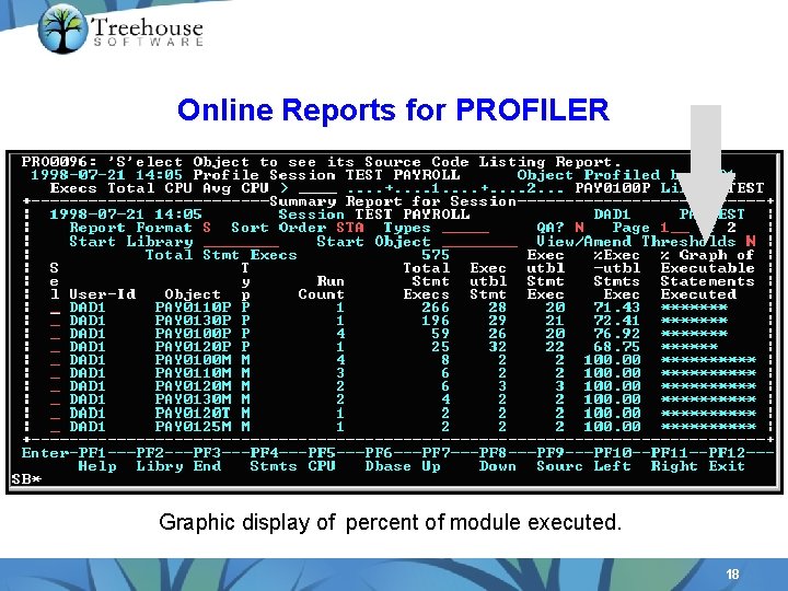 Online Reports for PROFILER Graphic display of percent of module executed. 18 