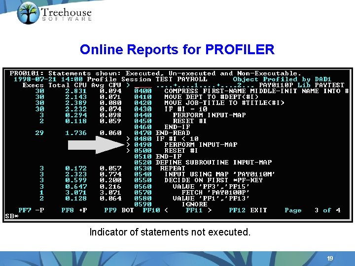 Online Reports for PROFILER Indicator of statements not executed. 19 