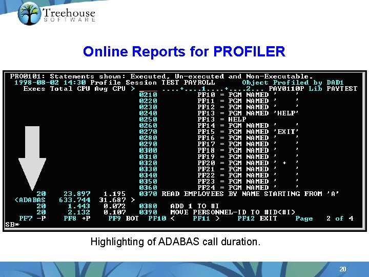 Online Reports for PROFILER Highlighting of ADABAS call duration. 20 