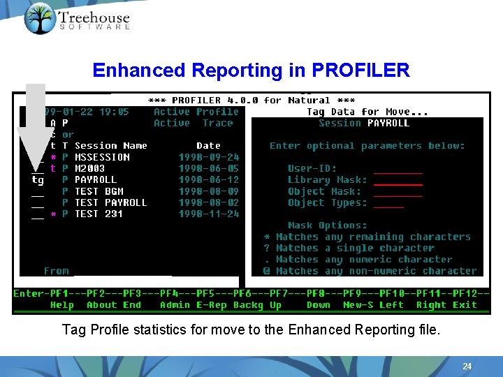 Enhanced Reporting in PROFILER Tag Profile statistics for move to the Enhanced Reporting file.