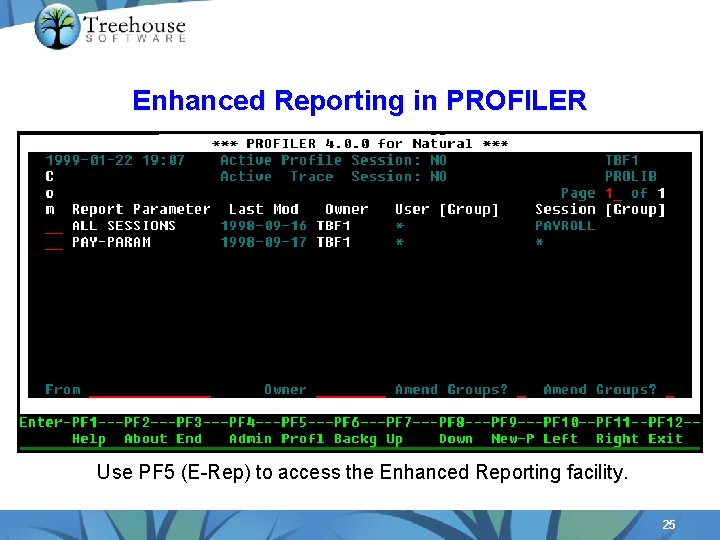 Enhanced Reporting in PROFILER Use PF 5 (E-Rep) to access the Enhanced Reporting facility.