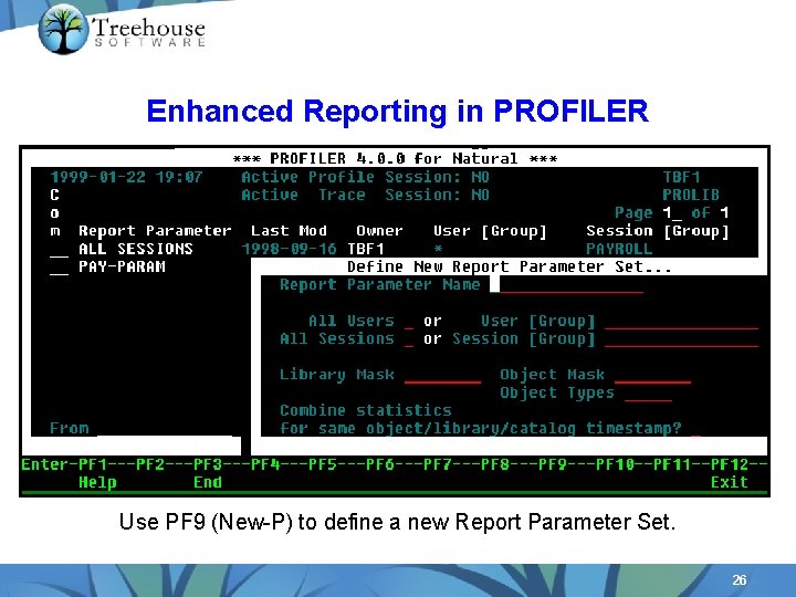 Enhanced Reporting in PROFILER Use PF 9 (New-P) to define a new Report Parameter