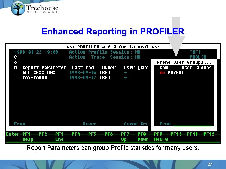 Enhanced Reporting in PROFILER Report Parameters can group Profile statistics for many users. 27