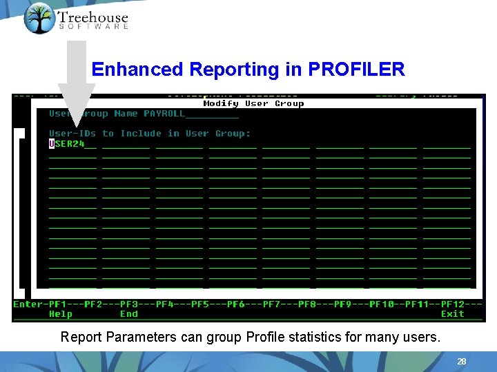 Enhanced Reporting in PROFILER Report Parameters can group Profile statistics for many users. 28