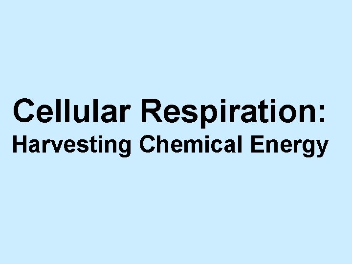 Cellular Respiration: Harvesting Chemical Energy 