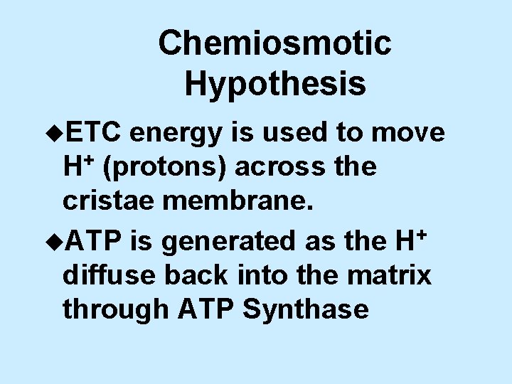 Chemiosmotic Hypothesis u. ETC energy is used to move H+ (protons) across the cristae