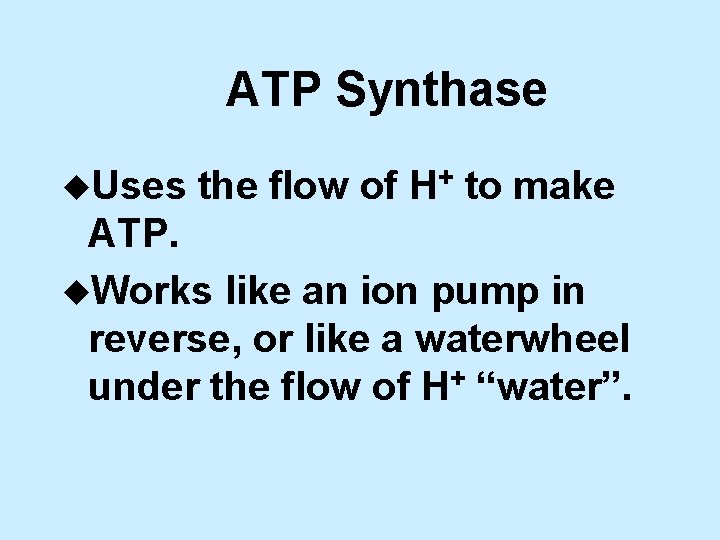 ATP Synthase u. Uses the flow of H+ to make ATP. u. Works like