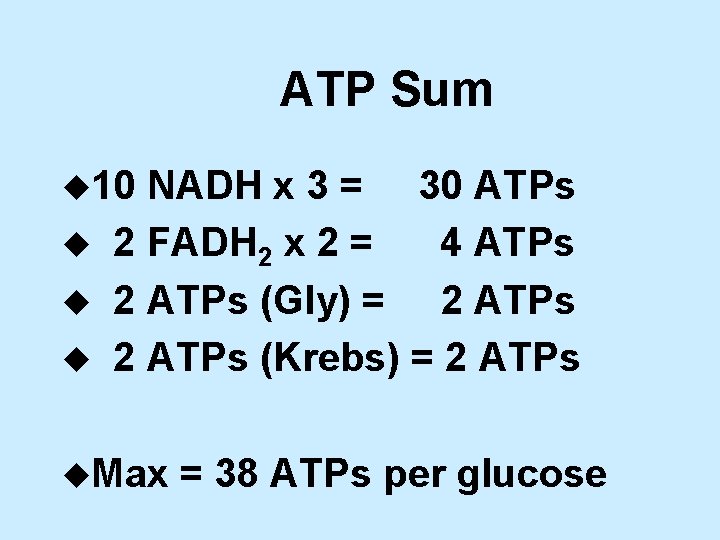 ATP Sum u 10 u u u NADH x 3 = 30 ATPs 2