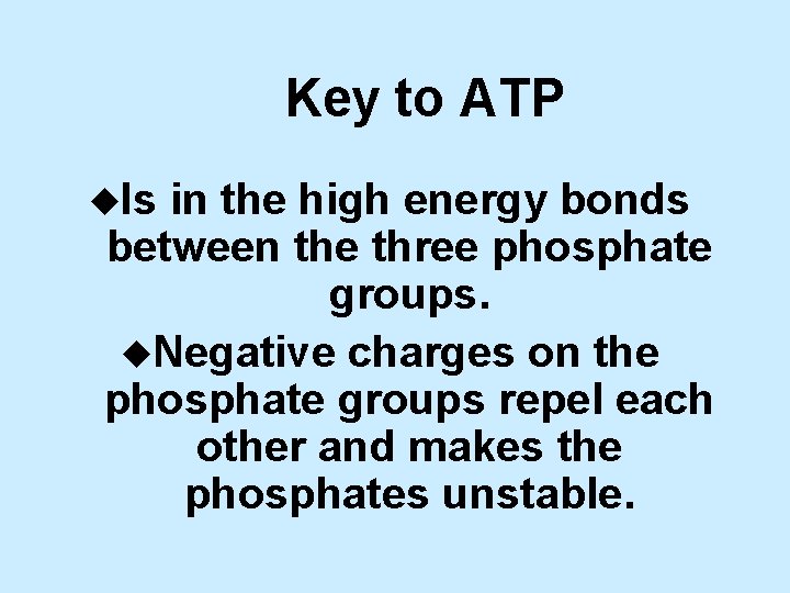 Key to ATP u. Is in the high energy bonds between the three phosphate