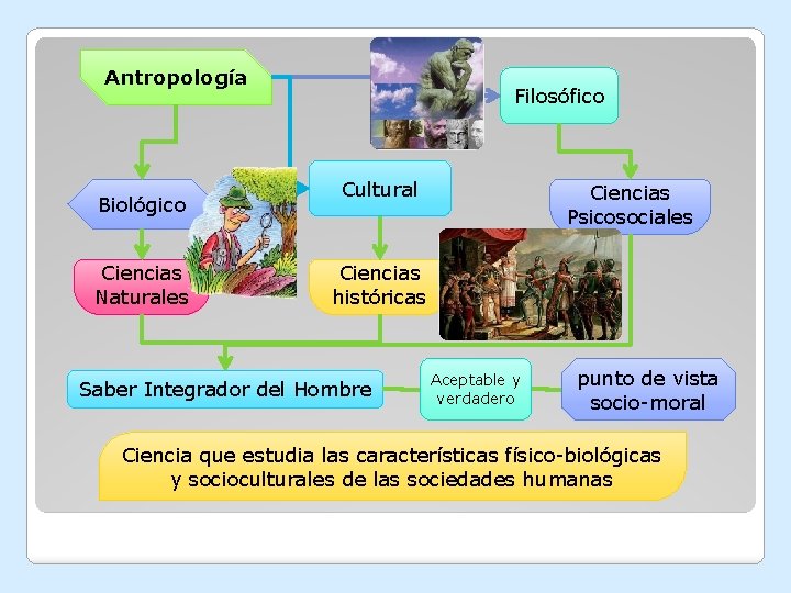 Antropología Biológico Ciencias Naturales Filosófico Cultural Ciencias Psicosociales Ciencias históricas Saber Integrador del Hombre