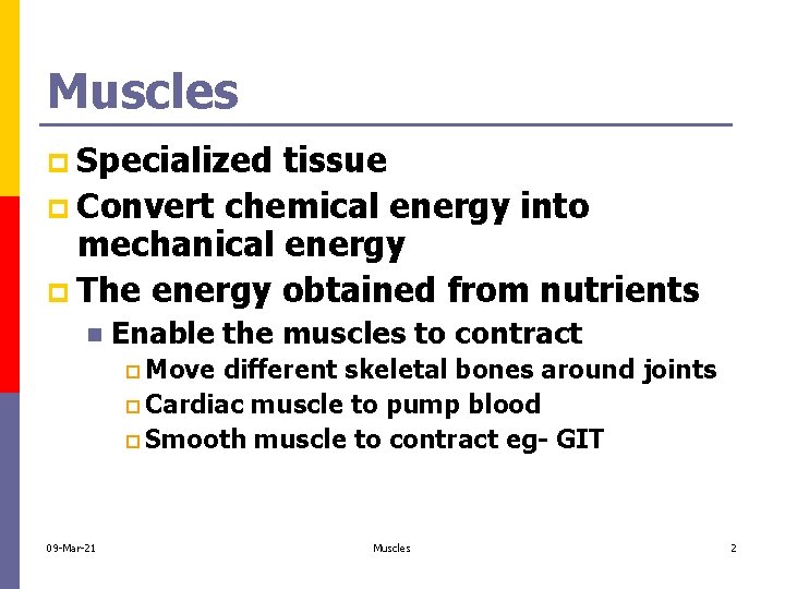 Muscles p Specialized tissue p Convert chemical energy into mechanical energy p The energy