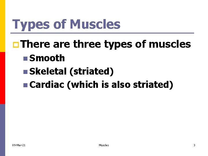 Types of Muscles p There are three types of muscles n Smooth n Skeletal