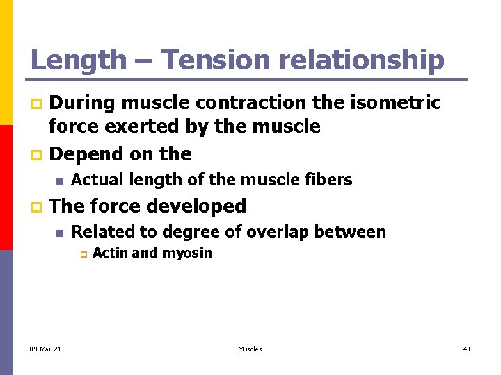 Length – Tension relationship During muscle contraction the isometric force exerted by the muscle