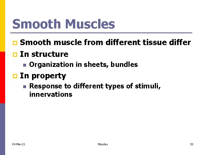 Smooth Muscles Smooth muscle from different tissue differ p In structure p n p