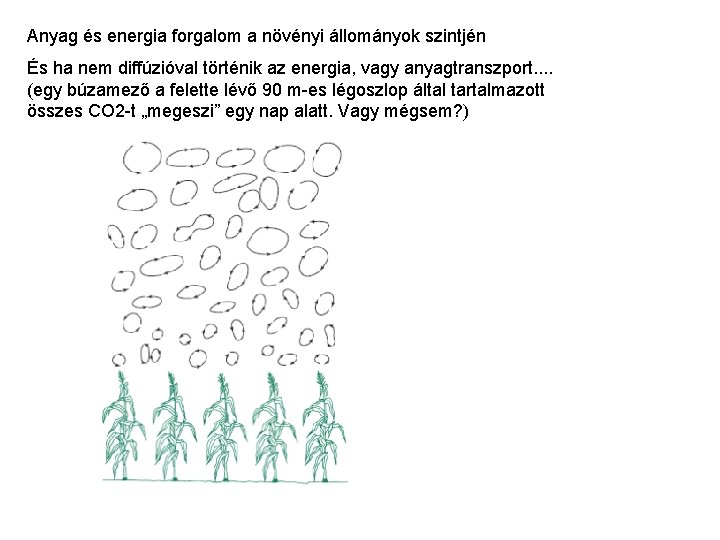 Anyag és energia forgalom a növényi állományok szintjén És ha nem diffúzióval történik az