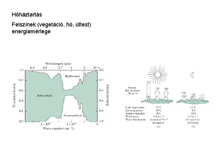 Hőháztartás Felszínek (vegetáció, hó, úttest) energiamérlege 