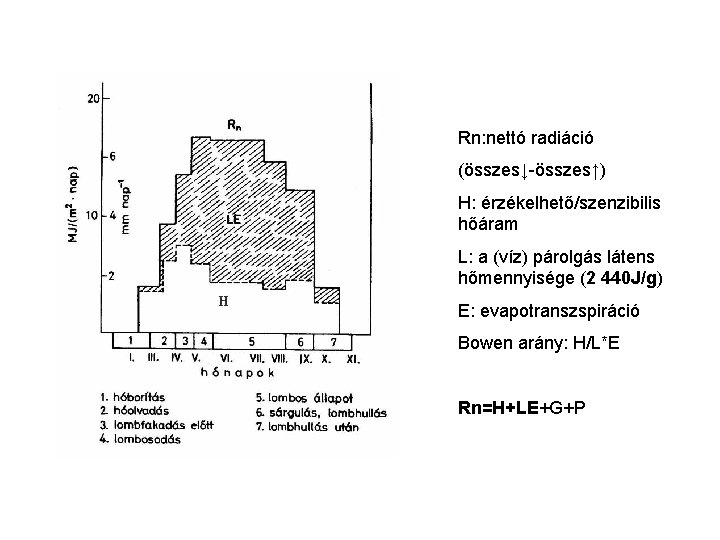 Rn: nettó radiáció (összes↓-összes↑) H: érzékelhető/szenzibilis hőáram L: a (víz) párolgás látens hőmennyisége (2