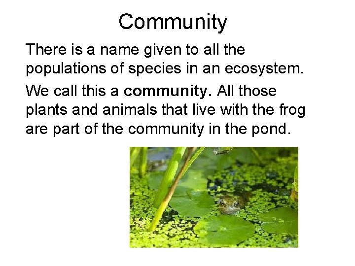 Community There is a name given to all the populations of species in an