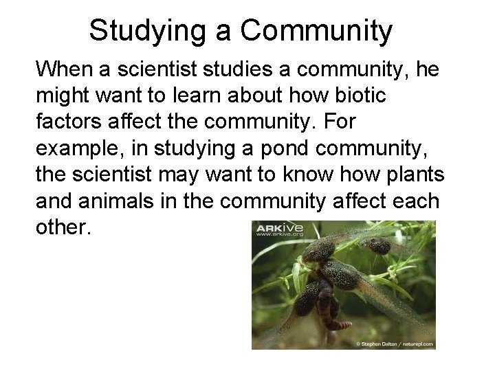 Studying a Community When a scientist studies a community, he might want to learn