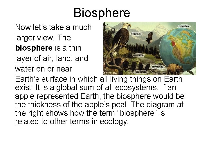 Biosphere Now let’s take a much larger view. The biosphere is a thin layer