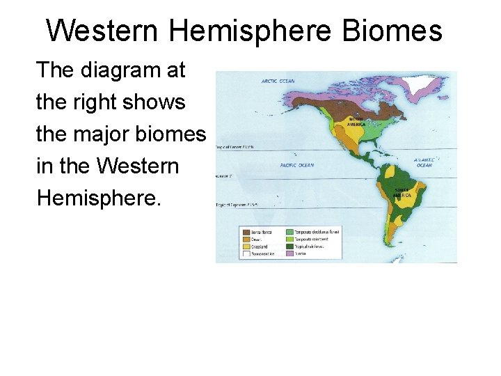 Western Hemisphere Biomes The diagram at the right shows the major biomes in the