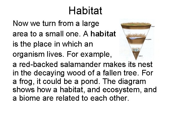 Habitat Now we turn from a large area to a small one. A habitat