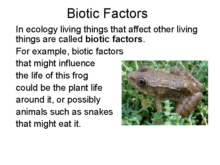 Biotic Factors In ecology living things that affect other living things are called biotic