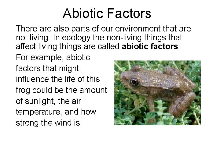 Abiotic Factors There also parts of our environment that are not living. In ecology