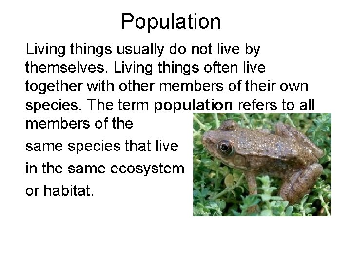 Population Living things usually do not live by themselves. Living things often live together